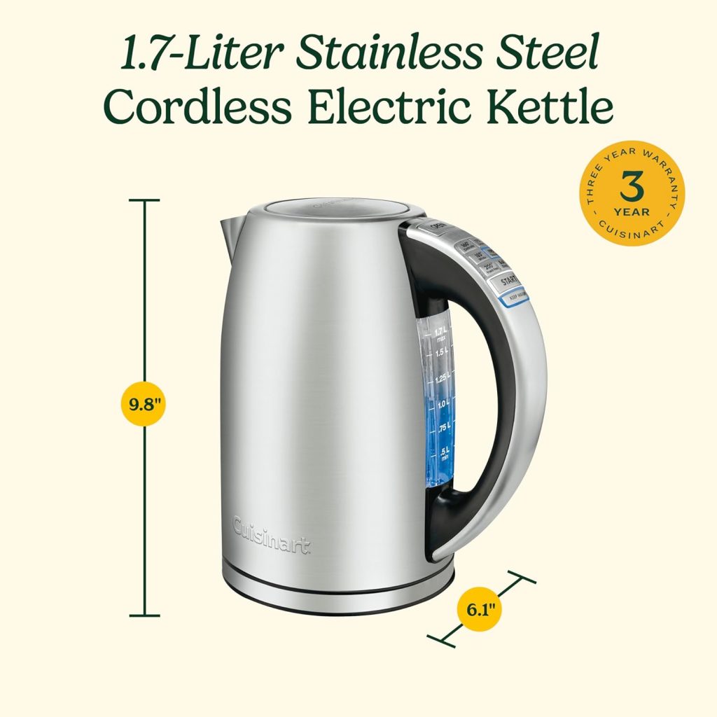 best electric kettle with temperature control