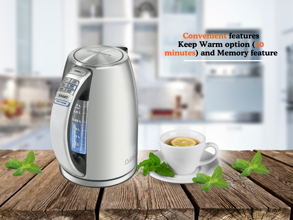 best electric kettle with temperature control